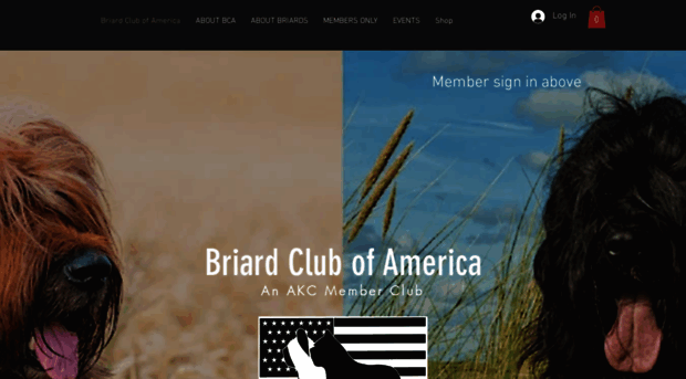 briardclubofamerica.org