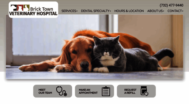 bricktownvet.com