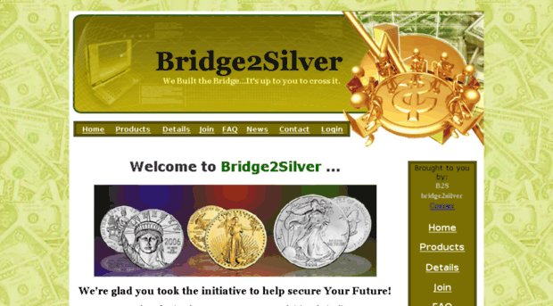 bridge2silver.com