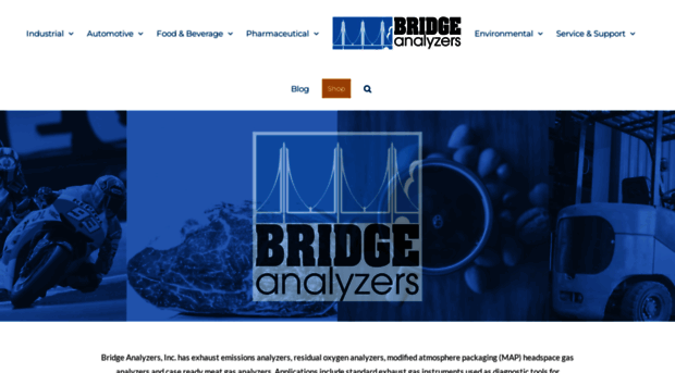 bridgeanalyzers.com
