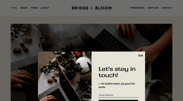 bridgeandbloom.com