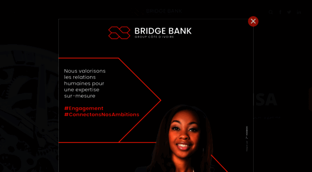 bridgebankgroup.com