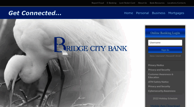 bridgecitystatebank.com