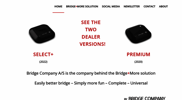 bridgecompany.com