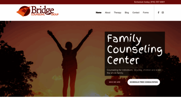 bridgecounselinggroup.com