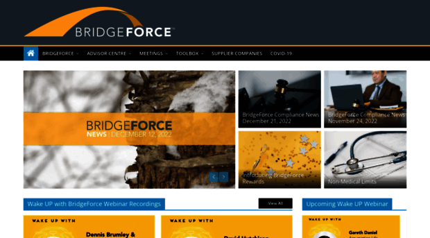 bridgeforcefinancial.com