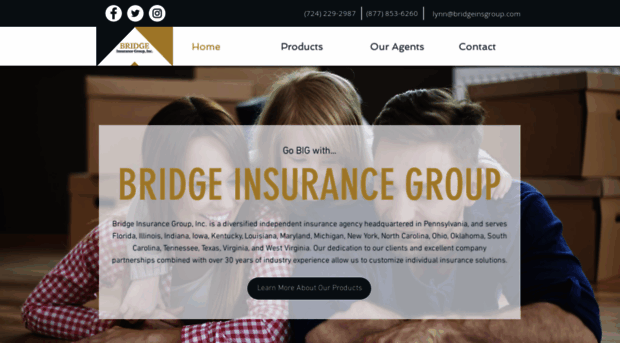 bridgeinsgroup.com