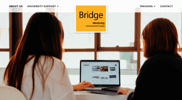 bridgementoring.co.uk