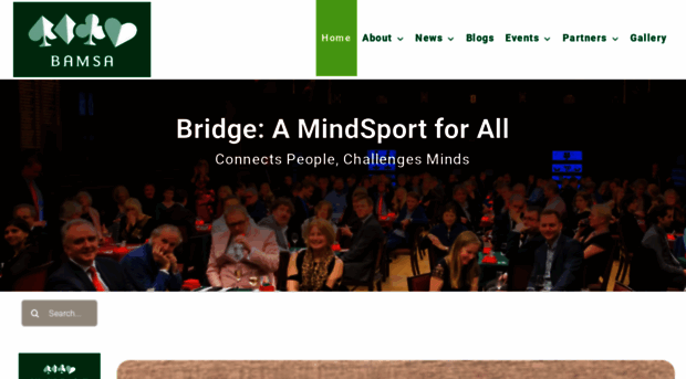 bridgemindsport.org