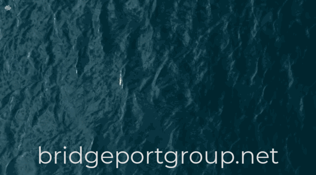 bridgeportgroup.net