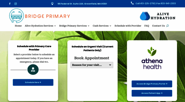 bridgeprimary.com