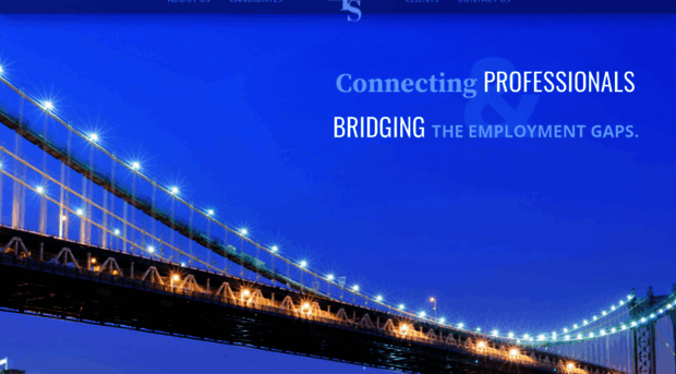 bridgeprosvcs.com