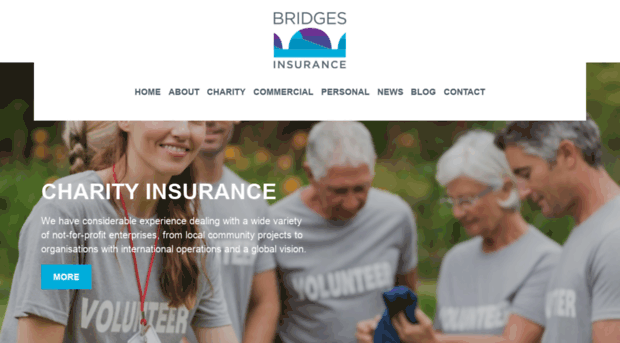 bridges-insurance.co.uk