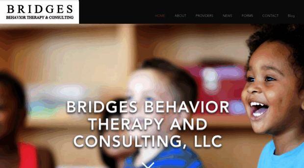 bridgesbehavior.org