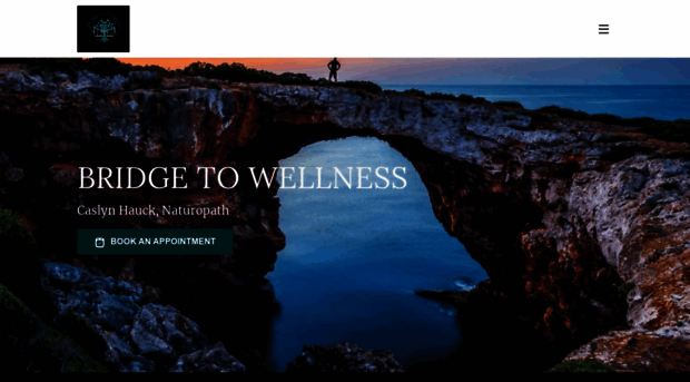 bridgetowellnessclinic.com