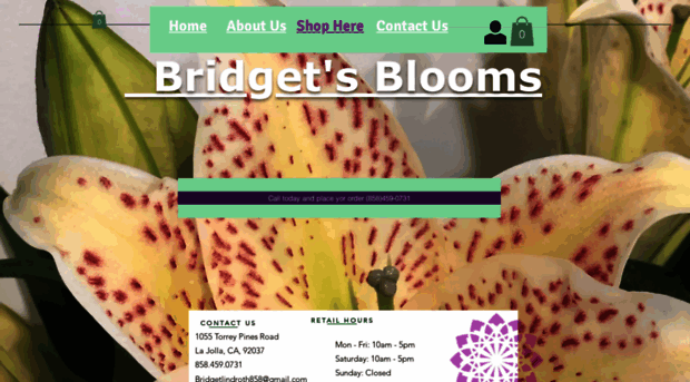 bridgetslajollablooms.com