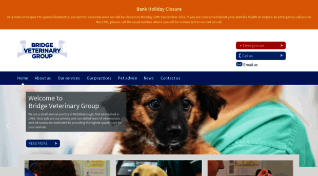 bridgeveterinarygroup.co.uk