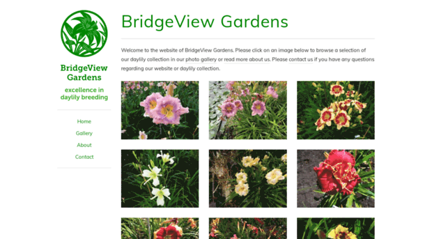 bridgeviewgardens.nl