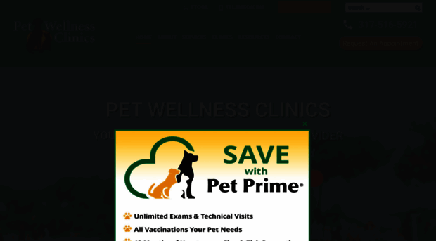 bridgeviewvet.com