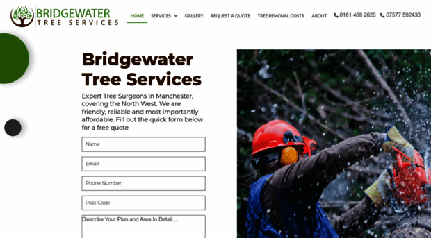 bridgewatertreeservices.co.uk