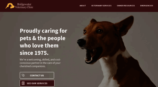 bridgewatervetclinic.com