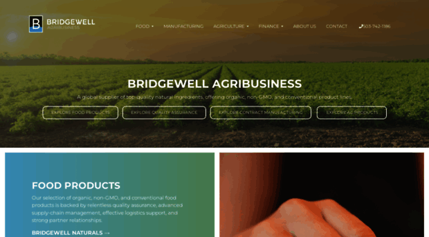 bridgewellab.com