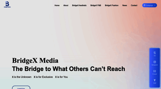 bridgexmedia.info