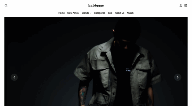bridggge-shop.com