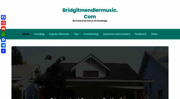 bridgitmendlermusic.com