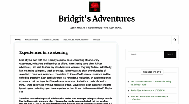 bridgitsadventures.com