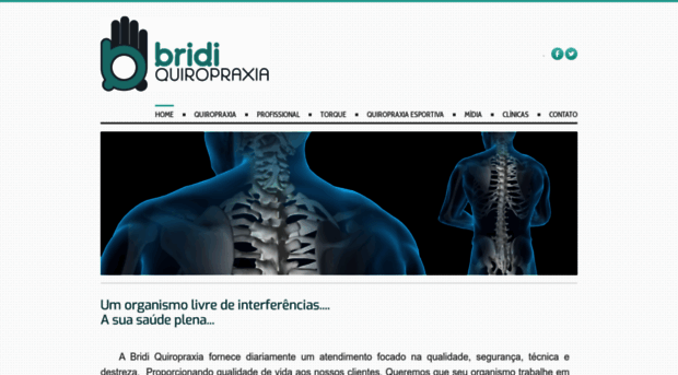 bridiquiropraxia.com.br