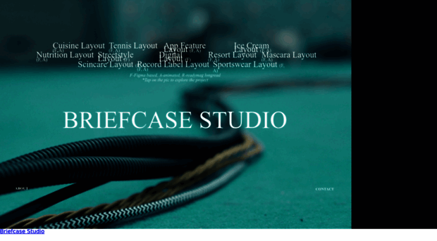 briefcasestudio.com