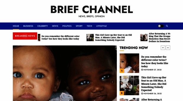 briefchannel.com