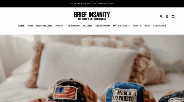 briefinsanity.com