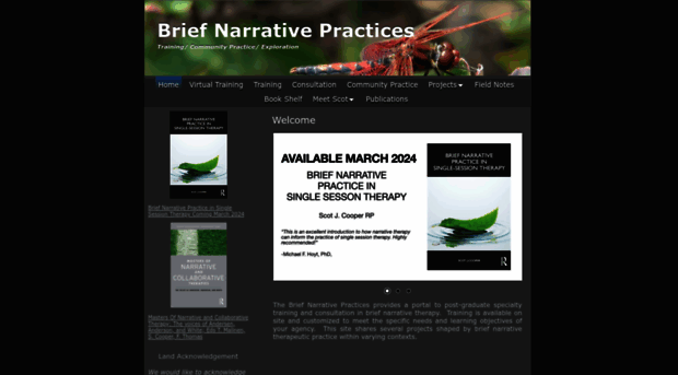 briefnarrative.com