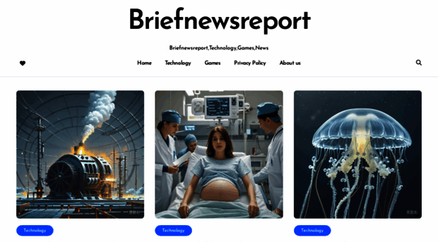 briefnewsreport.xyz