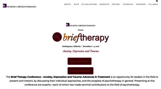 brieftherapyconference.com