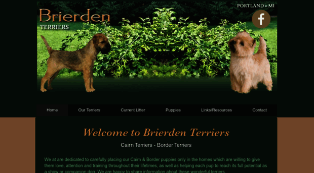 brierdenterriers.com