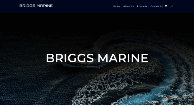 briggsmarine.com.au