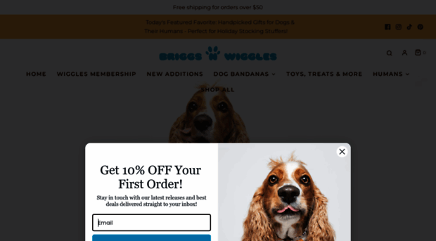 briggsnwiggles.com