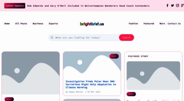 brightbrief.us