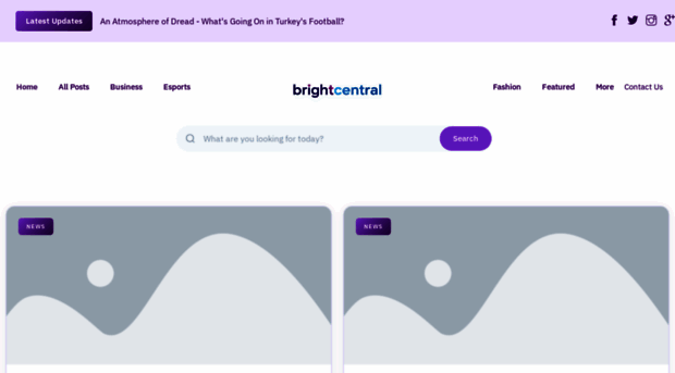 brightcentralgroup.nl