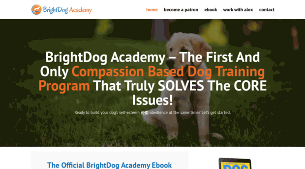 brightdog.com