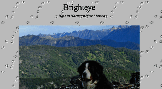 brighteye.org