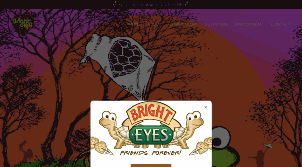 brighteyesdaycare.com