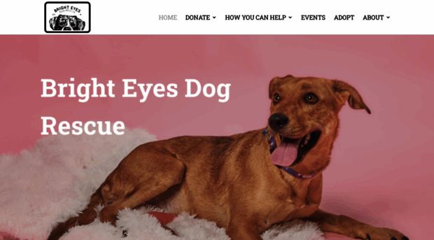 brighteyesdogrescue.com