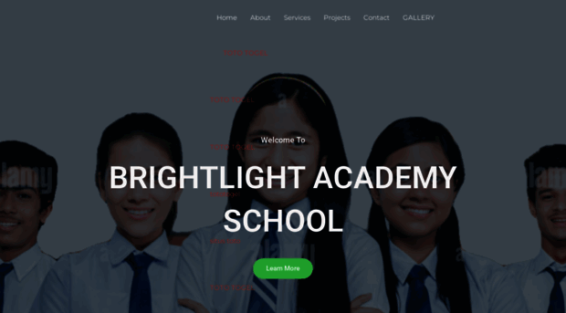 brightlightacademy.com.ng