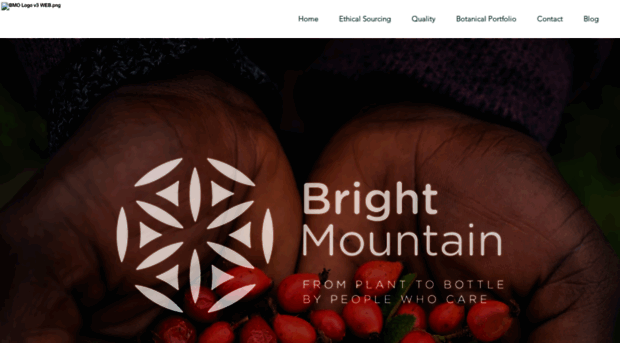 brightmountainoils.co.za