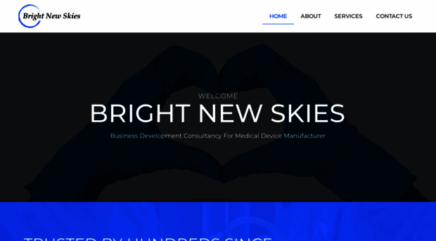 brightnewskies.com