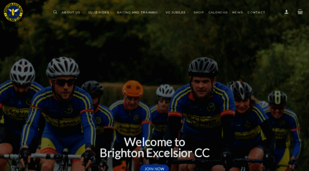 brightonexcelsior.co.uk